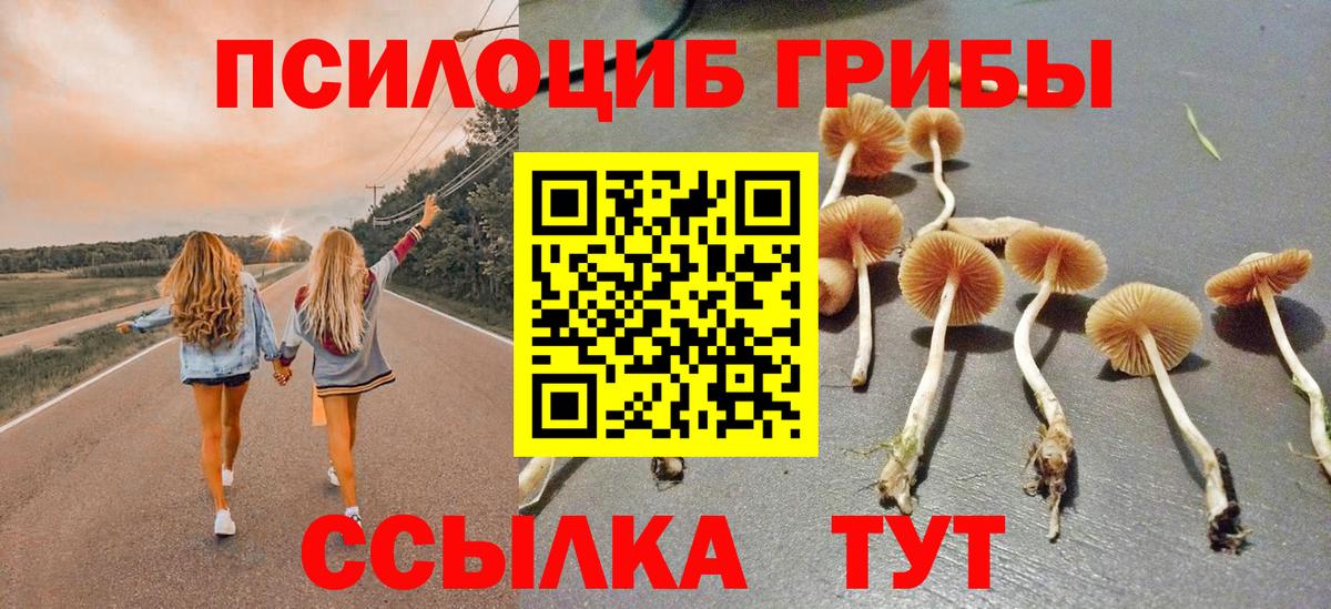 Псилоцибиновые грибы GOLDEN TEACHER Полевской