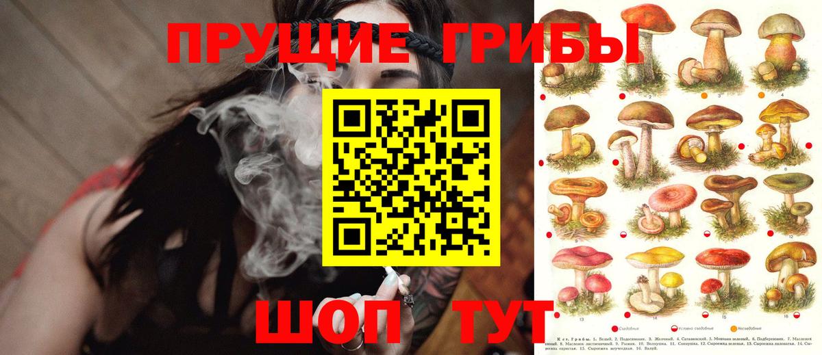где купить наркоту  Псилоцибиновые грибы мухоморы  Галлюциногенные грибы Psilocybe  Вход с VPN  Полевской 